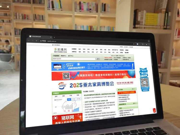 手工羽毛扇網(wǎng)站如何憑借傳統(tǒng)工藝傳承擴大流量？同行都是怎么做的？