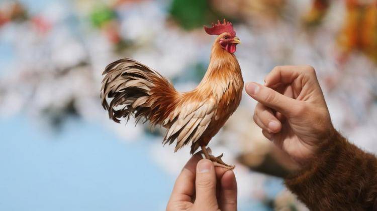 手工羽毛扇網(wǎng)站如何憑借傳統(tǒng)工藝傳承擴(kuò)大流量？同行都是怎么做的？